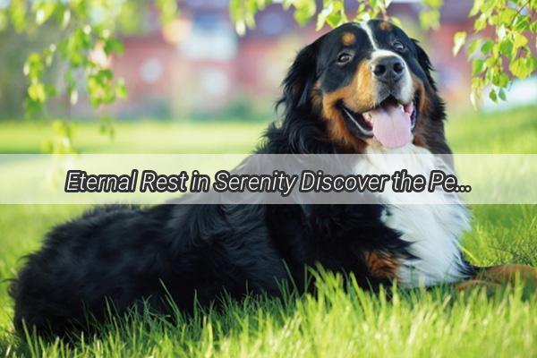 Eternal Rest in Serenity Discover the Perfect Pet Burial Sites in Changzhou Hutang